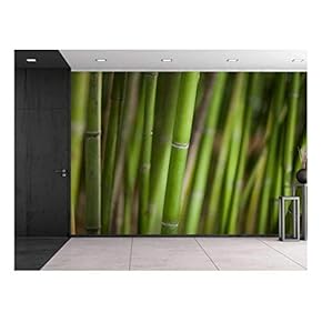 Green Bamboo Trees - Wall Mural, Removable Sticker, Home Decor - 66x96 inches