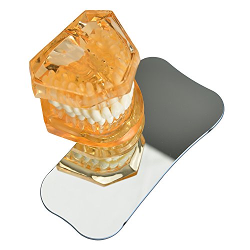 AZDENT Dental Intraoral Mirrors Photography 2 Sided Rhodium Glass Mirror Occlusal M - Thumbnail 2