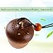 Wooden Essential Oil Car Diffuser Aromatherapy Essential Oil Perfume Acorn Car Diffuser Hang Decoration