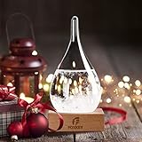 Valentines Day Gift Snow Globe Storm Glass