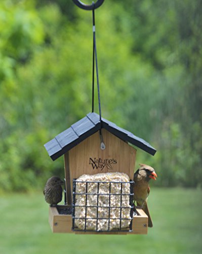 Nature's Way Bird Products 066439 Bwf28 Bamboo Hpr Feeder W/Suet