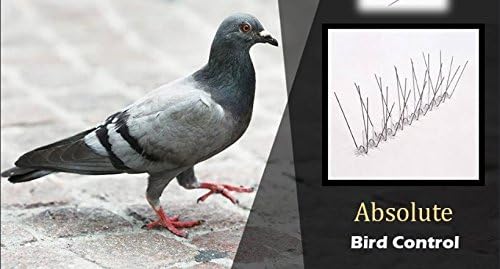 In SpikeZone Polycarbonate Bird and Pigeon Control Spikes (Translucent, Standard)-10 Pieces Pack