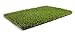 Synturfmats 2'x4' Artificial Grass Carpert Rug - Premium Indoor/Outdoor Green Synthetic Turf, 4-Toned Blades (A2X4)