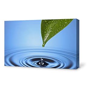 SIGNFORD Canvas Wall Art for Living Room,Bedroom Home...
