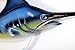 Charlotte International Sport Fishing Big Catch Blue Marlin 18 Inch Resin Wall Decor Plaque