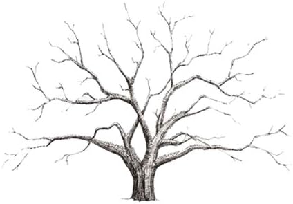 Amazon Com Diy Tree Fashion Creative Diy Fingerprint Tree