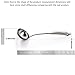 Soup Ladle, [Rustproof, Integral Forming, Durable] Newness 304 Stainless Steel Soup Pan Ladle with Vacuum Ergonomic Handle, Comfortable Grip Design Spoon Soup Ladle for Kitchen, 13.46 Inches