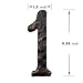 5.5 Inch House Numbers- Rustic Cast Iron Home Address Number- Featuring Unique Hammered Appearance with Uneven Antique Brass Finished,Number 1