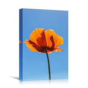 signwin Canvas Wall Art Orange Flower Portraiture Colorful...