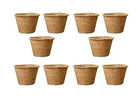 COIR GARDEN Coir Pot Basket for Gardening Plants and Flowers (6-inch) - Pack of 10