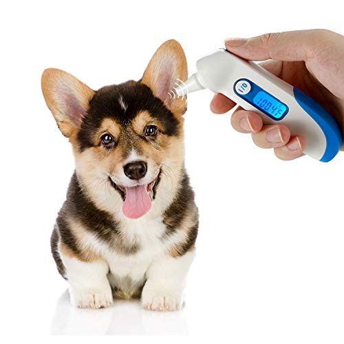 Pet Thermometer,Veterinary Thermometer,NonContact Infrared Thermometer,CE and FDA Certification