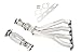 Manzo USA Mini Cooper Hatch R50/R53 4-1 Stainless Steel Exhaust Header