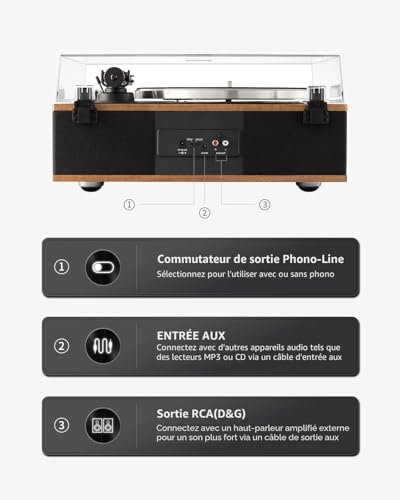 ANGELS HORN Vinyl Turntable Bluetooth HiFi Turntable with Speakers Built-in Phono Preamplifier 33/45 RPM and Mic AT-3600L