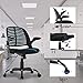 Computer Ergonomic Chair, Heavy Duty Metal Base Desk Chairs, Executive Adjustable Swivel Rolling Chair with Arms Lumbar Support Task Home Office Chair for Women, Men (Black, Set of 2)