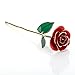 Febou 24k Gold Rose, Long Stem Dipped Rose in Gift Box for Valentine's Day, Mother's Day, Anniversary, Birthday (Rose with stand, Red)