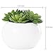 MyGift® Decorative Fake Plants Artificial Succulent Plant in Glazed White Ceramic Pot