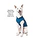 Gooby Fleece Vest Dog Sweater - Deep Blue, Large - Warm Pullover Fleece Dog Jacket with O-Ring Leash for Small to Medium Dogs