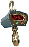 Digiweigh Crane Scales