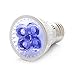 RubyLux All Blue LED Bulb Size Small for Skin Care Light Therapy Bulb