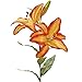 DII 4 Piece Artifical Tiger Lily Silk Flowers for Bridal Bouquet, Home Decoration, DIY, Garden, Office Decor, Centerpiece Décor - Orange