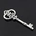 Makhry Mixed 20 Extra Large Antique Silver Finish Skeleton Keys Rustic Key for Wedding Decoration Favor(Antique Silver)