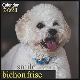 bichon frise smile