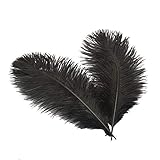 Sowder 6-8inch(15-20cm) Ostrich Feathers Plume for