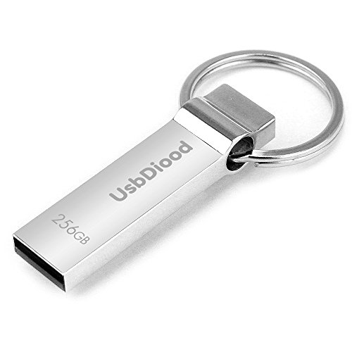Usbdiood metal 256gb usb 2.0 flash memory drive with key ring (zz…