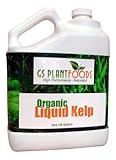 Liquid Kelp Organic Seaweed Extract 1 Gallon Fertilizer Concentrate
