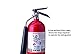 Kidde 466180 Pro 5 Carbon Dioxide, Food and Electronic Safe, Environmentally Safe, Fire Extinguisher, UL Rated 5-B:C