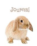 Journal: Rabbit by Dreamflight Publications