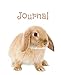 Journal: Rabbit by Dreamflight Publications