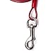MFPS Favorite Tie Out Cable for Dogs, 30-feet, 3 Colors (Red)