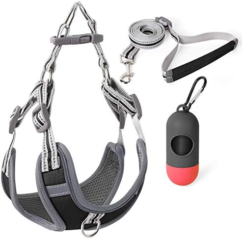 Dog Vest Harness and Leash Set with Handle Step-in Dog Harness Adjustable 3M Reflective Breathable Comfortable Quick Fit & Easy Walk for Small Medium Dog and Cat