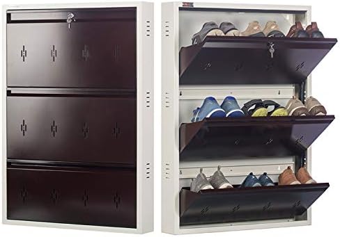 DNS CREATIVE PRODUCTS World Slimest Metal Shoe Rack (41''x 29''x 5", Brown)