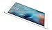Apple iPad Pro Tablet (32GB, Wi-Fi, 9.7in) Silver (Renewed)