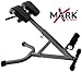 XMark 45 Degree Ab Back Hyperextension Roman Chair XM-4428