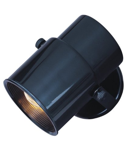 Park Madison Lighting PMA-1060-31 Contemporary Design Incandescent Accent Lamp with Fully Adjustable Swivel Shade