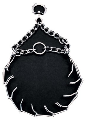 Coastal Pet 05590 B G4022 Training Dog Collar, 22-Inch