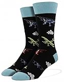Socksmith Men's Flying Bi-Plane Novelty Sock