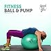 KindTribal Elements Exercise Ball 65 cm Stability Ball Balance Ball, Yoga Ball, & Birthing Ball | Anti Burst & Non Slip | Includes Pump for Varied Size |Use for Home Gym Exercise Ball Chairs Office