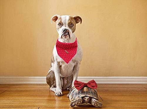 unique style paws Dog Bandana Square Dog Scarf Dog Kerchief, Cotton Bibs Sarf for Small Medium Large Dogs Adjustable Dog Bandanas - Image 5