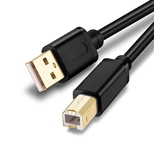 Printer Cable 1Ft,USB Printer Cable USB 2.0 Type A Male to B Male Scanner Cord High Speed for Brother, HP, Canon, Lexmark, Epson, Dell, Xerox, Samsung etc(0.3M/1Ft (2Packs))