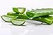 Aloe Cadabra Flavored Personal Lubricant and Vaginal Moisturizer, Organic Edible Aloe Lube for Men, Women and Couples, Non-Staining, pH Balanced, Toy Compatible (Peppermint, 2.5 Ounces, 2 Pack)