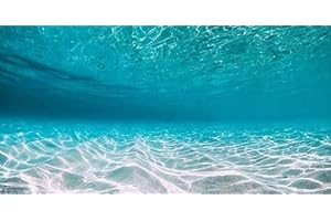 Dtekoj 48X18IN Natural Undersea Aquarium Background, Undersea Beach Fish Tank Background, with 8 EVA Double-Sided Tape