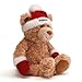 Gund 2012 Amazon Collectible Bear