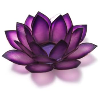 Om Gallery Capiz Shell Lotus Tea Light Holder, Passion