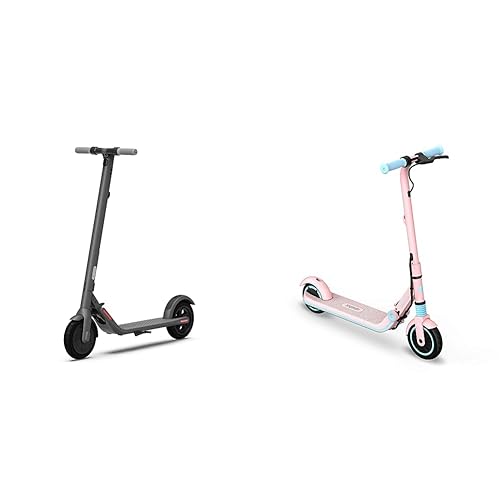 Segway Ninebot E22 E45 Electric Kick Scooter, Dark Grey Large