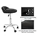 HomGarden Adjustable Hydraulic Rolling Swivel Stool for Massage Salon Office Facial Spa Medical Tattoo Chair Stool w/Backrest Cushion & Wheels