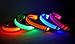 Liroyal Nylon LED Dog Night Safety Collar Flashing Light up W/circular Pendant Collar Green